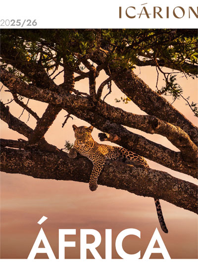 Icrion frica